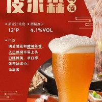 青岛欧劲啤酒厂家招商加盟 精酿果啤